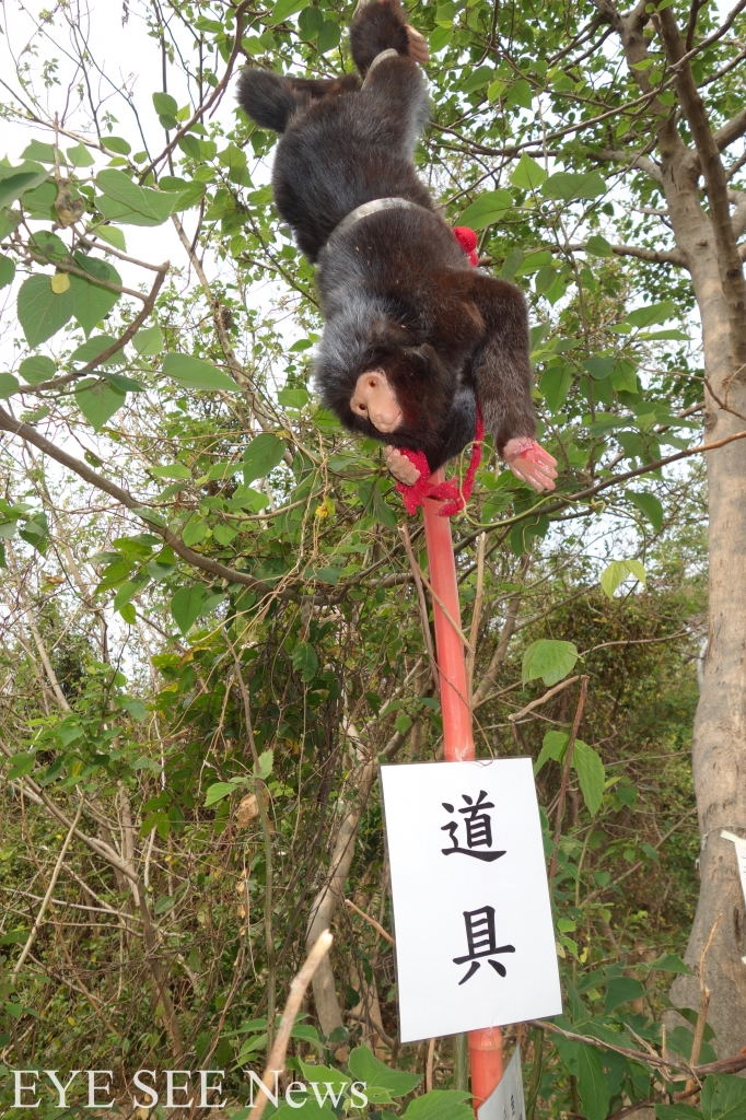 中山大學假猴道具