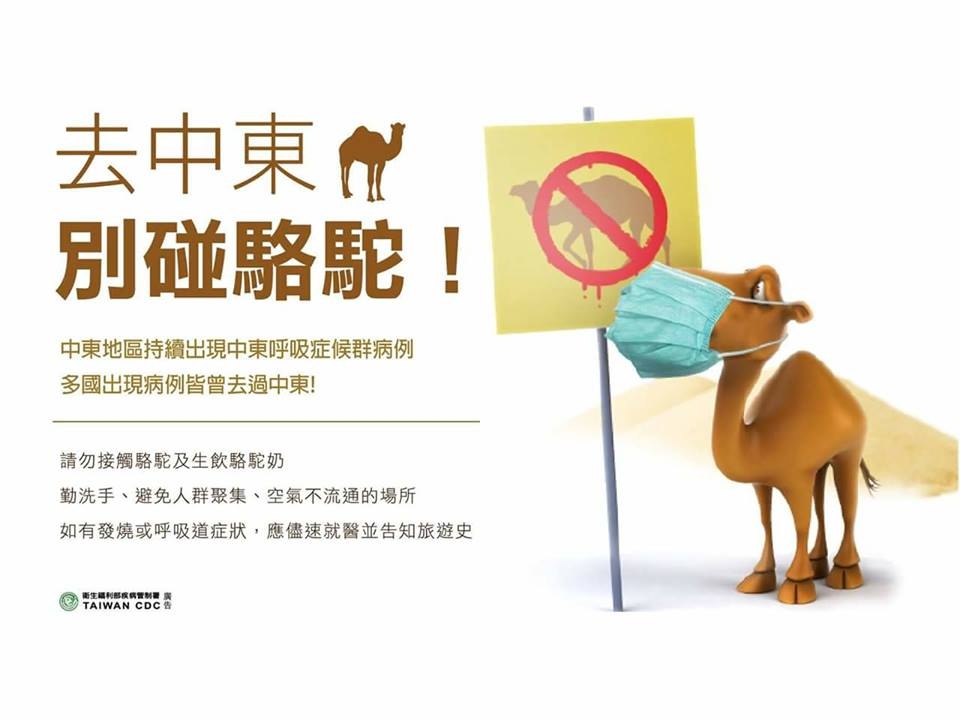 Don't touch camel