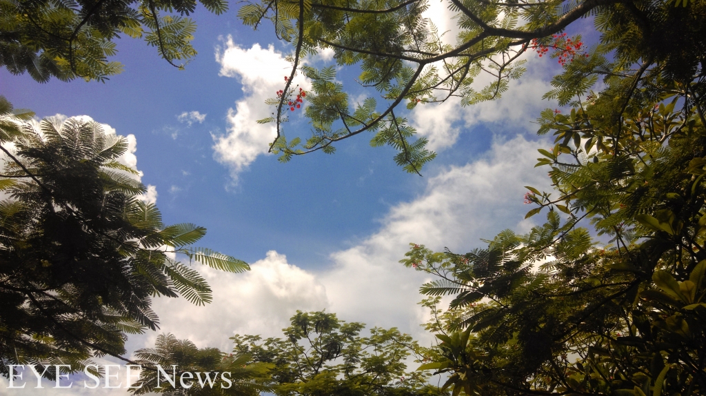 蔚藍、舒服的天空