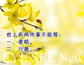 孝順行善一樣重要 孝順行善一樣重要