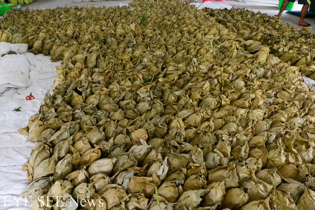 剛採收下來的金煌芒果