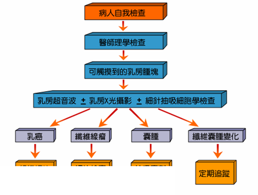 乳房篩檢及治療作業流程  圖/衛生福利部基隆醫屏東醫院社區醫學部