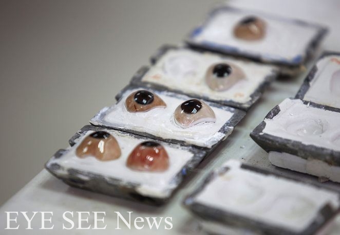 黃斑部病變 「仿生眼」救視力　圖/網路
