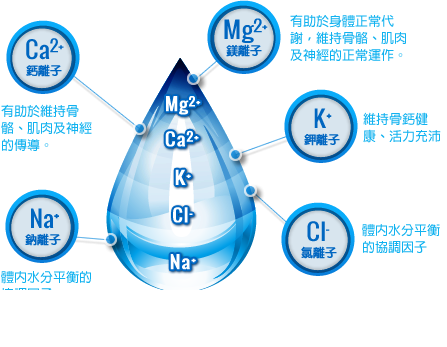 電解質調節的秘辛 (圖-網路)