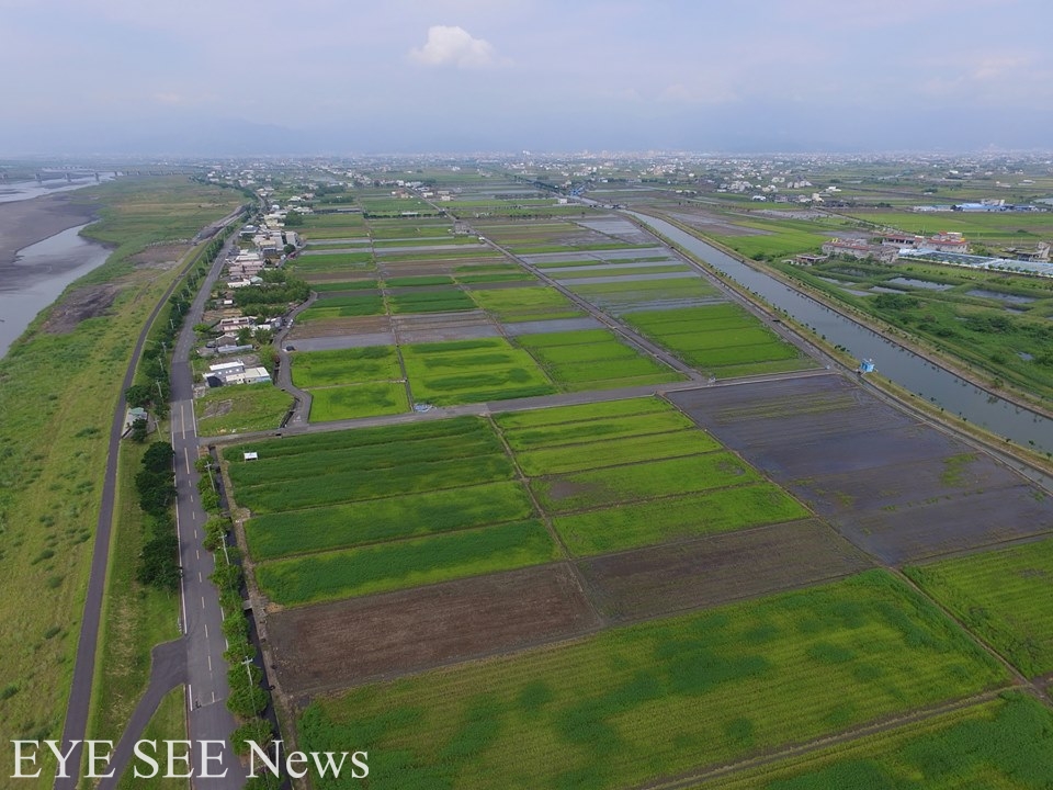 宜蘭新南部分水田去年改採有機耕作(空拍照)。圖/林哲安提供。 宜蘭新南部分水田去年改採有機耕作(空拍照)。圖/林哲安提供。
