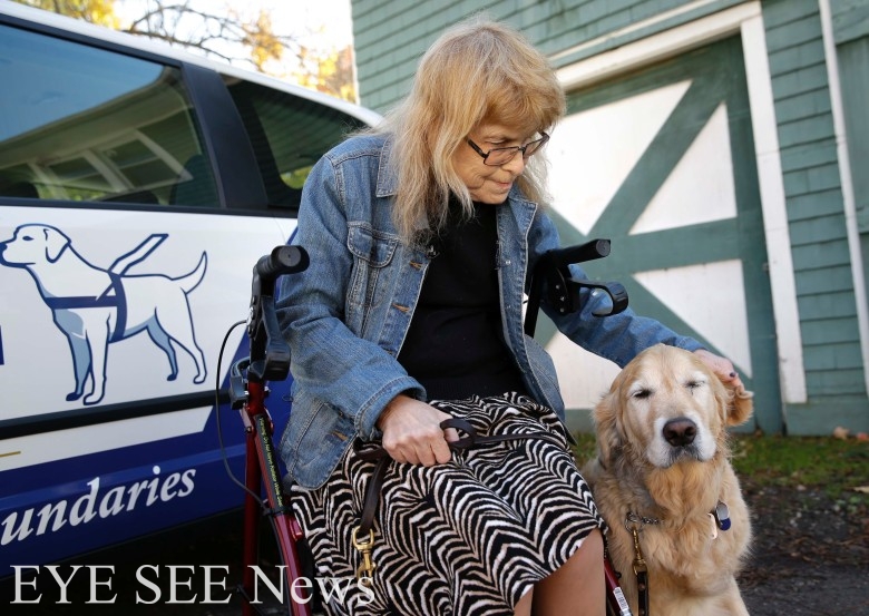 美國紐約8歲導盲犬菲戈（Figo）擋巴士救主人。圖/美聯社