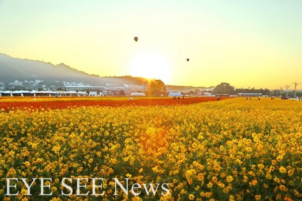 新社花海台中國際花毯節11/7登場。圖/台中市觀光旅遊局