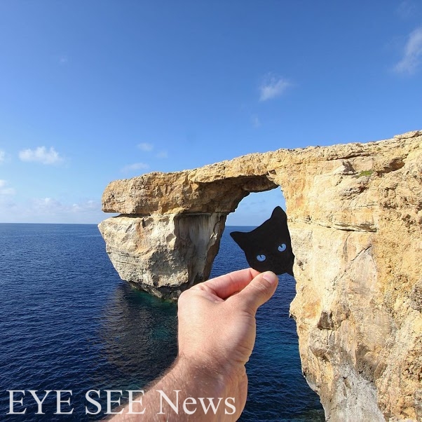 這裡有個天然洞，似乎會有隻貓探出頭來？那麼，就讓它成真吧！圖／instagram.com/paperboyo/