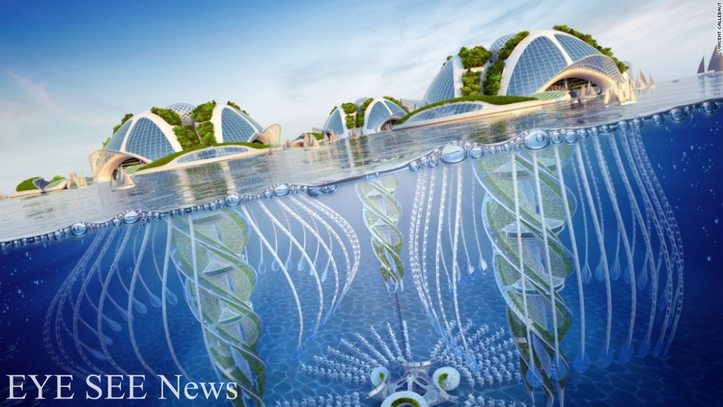 Aequorea完整的模樣 圖／CNN