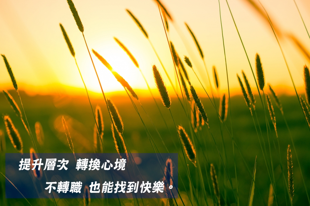 圖／網路