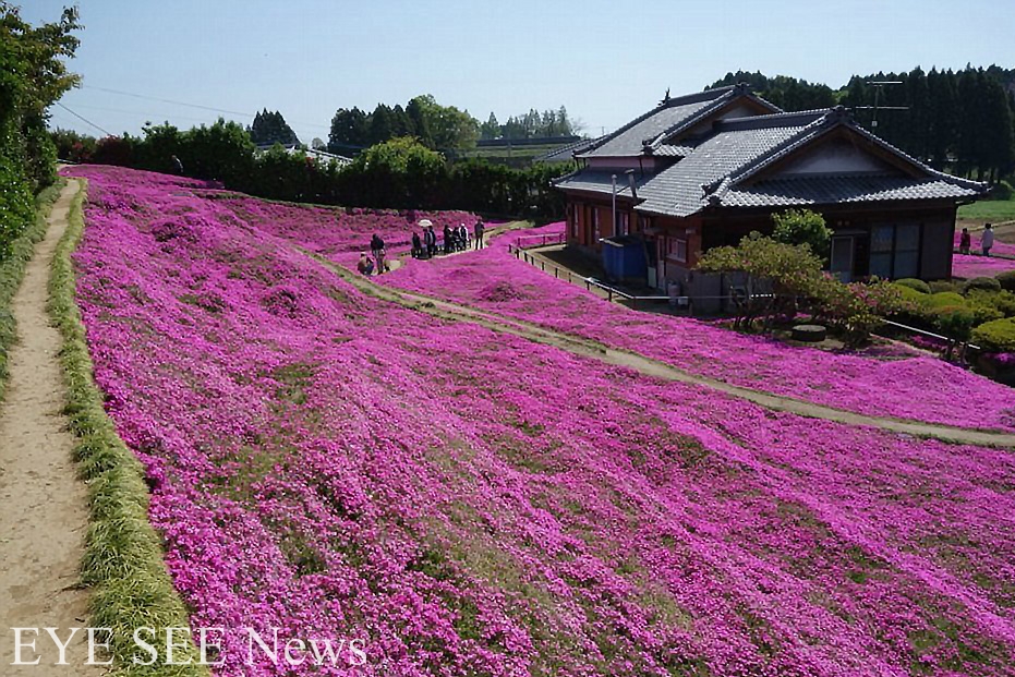 Kuroki夫婦的花園。圖/每日郵報