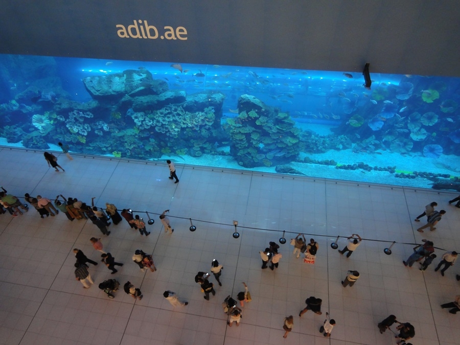 Dubal Mall內就有超大型水族館可免費觀賞,成為觀光客必訪之地。攝/林智恩