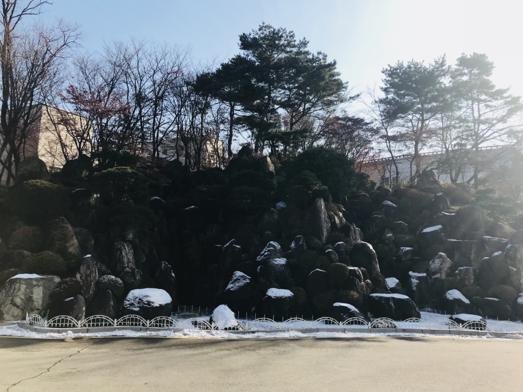 圖/卓月郎 圖/卓月郎