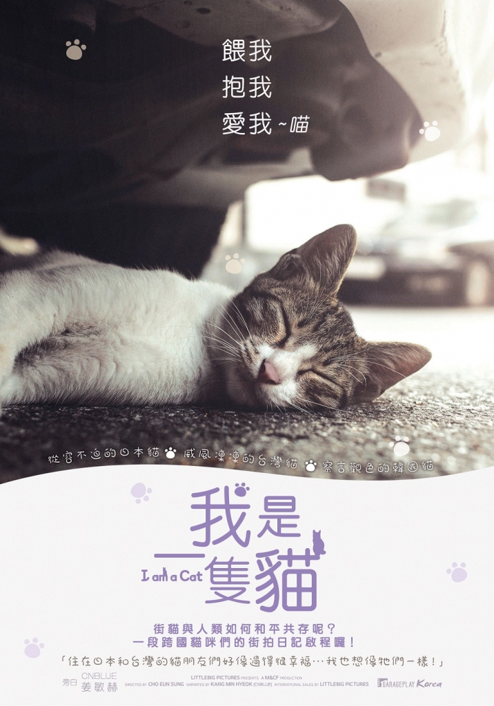 《我是一隻貓》/車庫娛樂提供